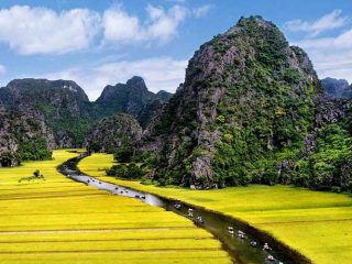 TAM COC